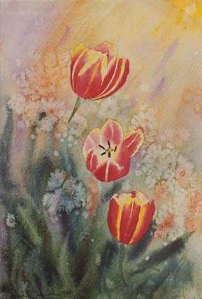 Tulips - flowers